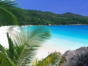 BVI High Season