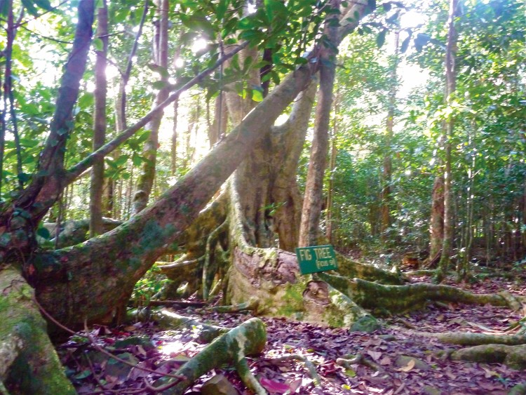 P1100115