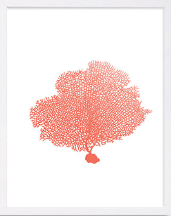 Decorative Coral Wall Art 2