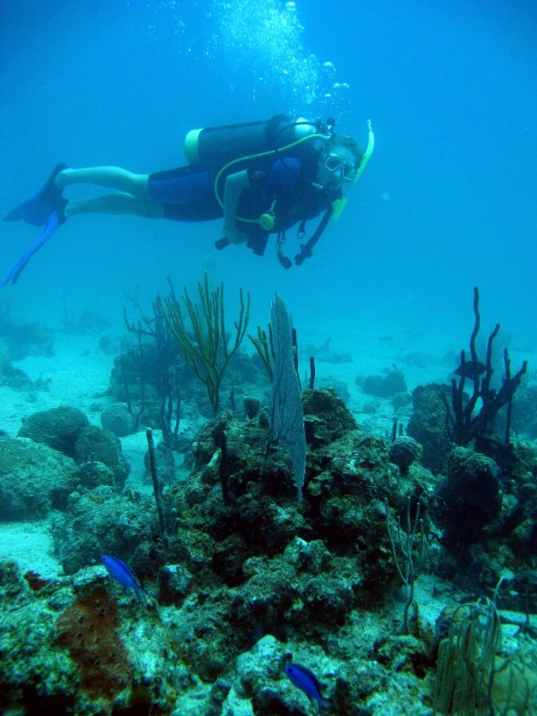 diving