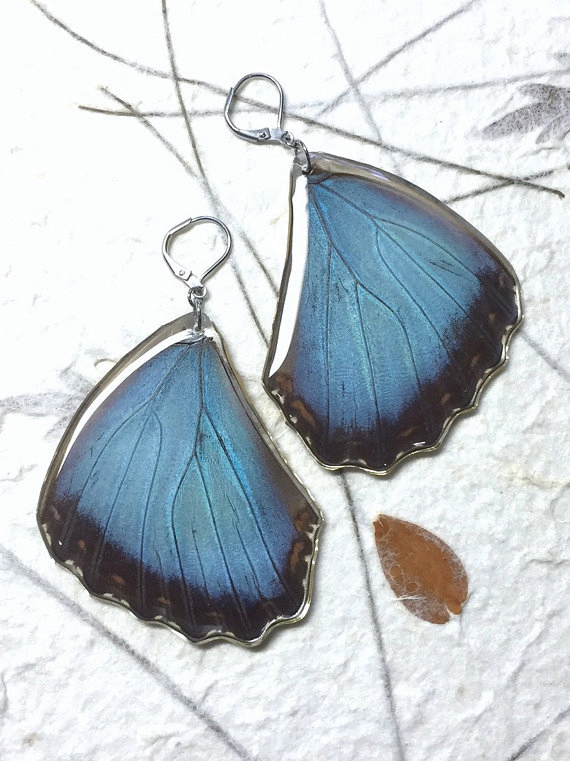 web-taino-blue-morpho-earrings